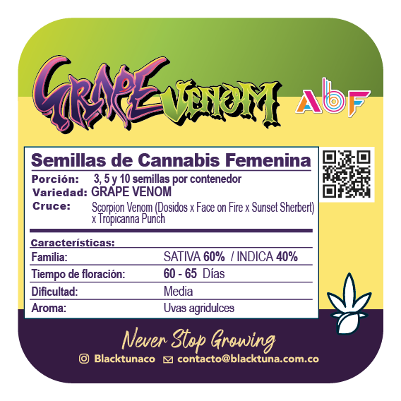 Grape Venom - Semillas Feminizadas - Black Tuna