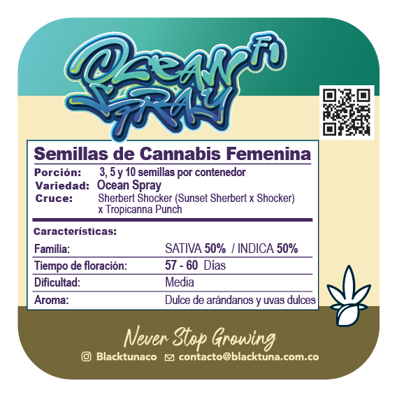 Ocean Spray F1 - 3 Semillas Feminizadas